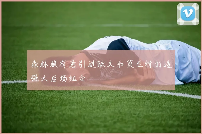 森林狼有意引进欧文和莫兰特打造强大后场组合