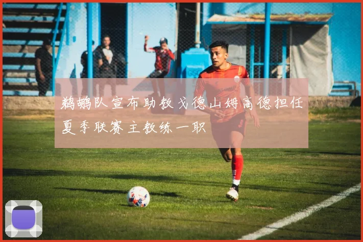 鹈鹕队宣布助教戈德山姆高德担任夏季联赛主教练一职