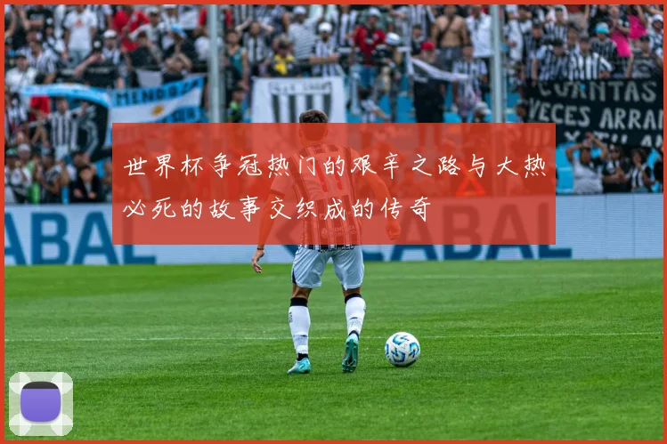 世界杯争冠热门的艰辛之路与大热必死的故事交织成的传奇