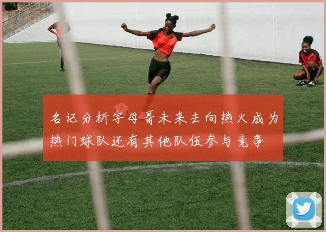 名记分析字母哥未来去向热火成为热门球队还有其他队伍参与竞争
