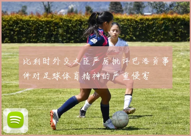 比利时外交大臣严厉批评巴洛贡事件对足球体育精神的严重侵害